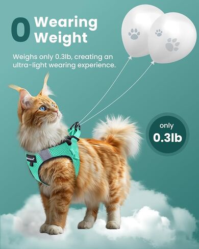 FAYOGOO Cat Harness and Leash Set | Upgrade Step-in Escape Proof Harness | Lightweight Soft Vest, No-Choke Design for Walking, Travel, Camping (Green) in Saudi Arabia