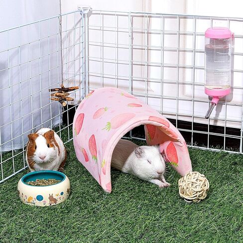 Bienbee Guinea Pig Tunnel, Guinea Pig Hideout, Washable Rabbit Tunnel and Bunny House, Rabbit Toys in Cages for Guinea Pig Bunny Rabbit Small Animal Green Mushroom in Kuwait