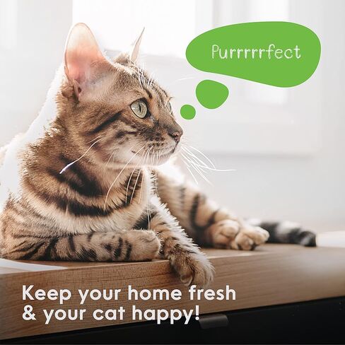 عبوة إعادة تعبئة ليتر جيني (2 عبوة) in Kuwait