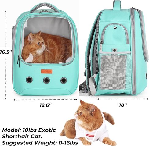 Lollimeow Pet Carrier Backpack, Bubble Backpack Carrier, Cats and Puppies,Airline-Approved, Designed for Travel, Hiking, Walking & Outdoor Use (Beige) in Saudi Arabia