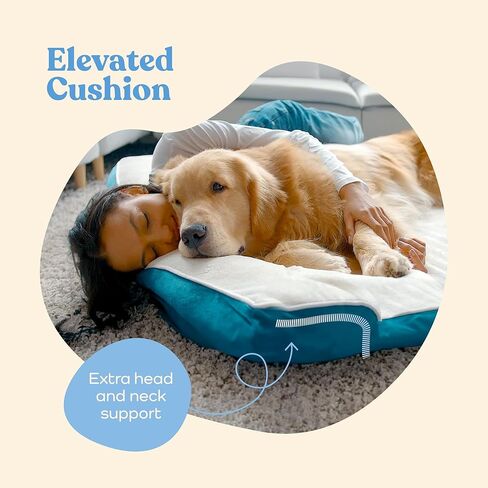 سرير كبير للكلاب من بيتبت - إسفنج طبي للعظام، مخمل مخملي، مقاوم للماء، سهل العناية، صديق للكلاب in Kuwait