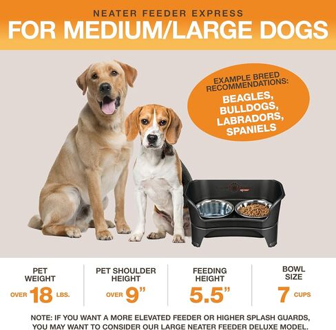 Neater Feeder Express Mess Proof Dog Bowls Elevated for Small Breed – Made in USA – No Spill Raised Slow Feeder Elevated Dog Bowl Stand, Stainless Steel Food and Water Bowl Set, Pink in Kuwait