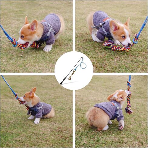 DIBBATU Flirt Pole for Dogs Interactive Dog Toys for Large Medium Small Dogs Chase and Tug of War, Dog Teaser Wand with Lure Chewing Toy for Outdoor Exercise & Training in Kuwait