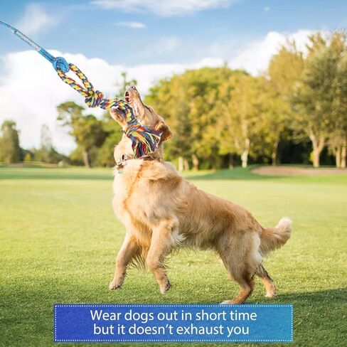 DIBBATU Flirt Pole for Dogs Interactive Dog Toys for Large Medium Small Dogs Chase and Tug of War, Dog Teaser Wand with Lure Chewing Toy for Outdoor Exercise & Training in Kuwait
