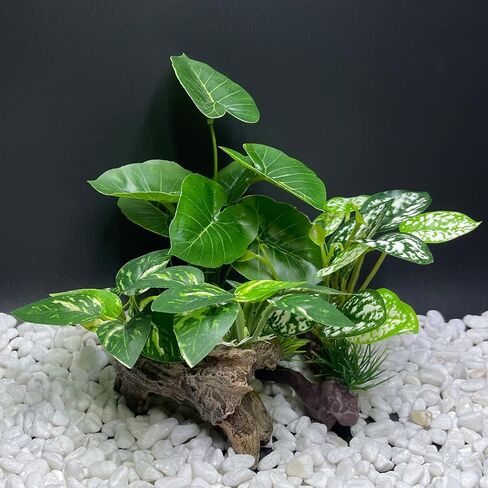 ديكورات خزان الأسماك ديكور حوض السمك الحلي بيتا ورقة الحرير وسادة أرجوحة الاصطناعي Driftwood كهف ذهبية السلطانية الملحقات in Kuwait
