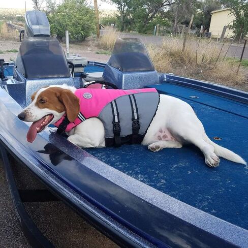 VIVAGLORY Sports Style Dog Life Jacket with Extra Flotation, Adjustable & Durable Swim Life Vest with Secure Fastening System for Large Dogs, Floral in Saudi Arabia