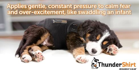 ThunderShirt for Dogs, XX Small, Platinum Sport - Dog Anxiety Relief Calming Vest in Kuwait
