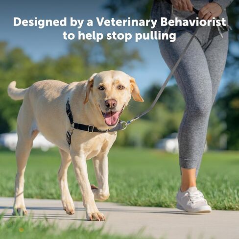 PetSafe Easy Walk No-Pull Dog Harness - The Ultimate Harness to Help Stop Pulling - Take Control & Teach Better Leash Manners - Helps Prevent Pets Pulling on Walks, Small, Raspberry/Gray in Kuwait
