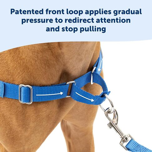 PetSafe Easy Walk No-Pull Dog Harness - The Ultimate Harness to Help Stop Pulling - Take Control & Teach Better Leash Manners - Helps Prevent Pets Pulling on Walks, Small, Raspberry/Gray in Kuwait