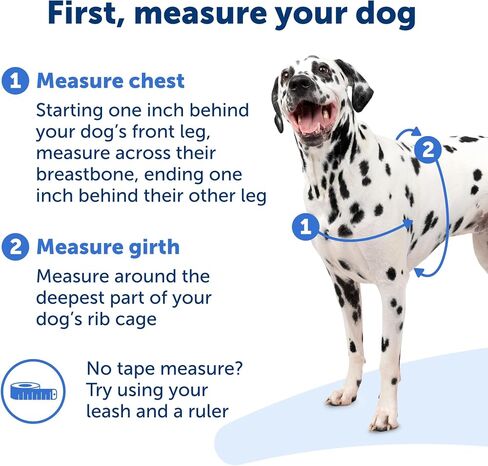 PetSafe Easy Walk No-Pull Dog Harness - The Ultimate Harness to Help Stop Pulling - Take Control & Teach Better Leash Manners - Helps Prevent Pets Pulling on Walks, Small, Raspberry/Gray in Kuwait