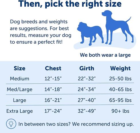 PetSafe Easy Walk No-Pull Dog Harness - The Ultimate Harness to Help Stop Pulling - Take Control & Teach Better Leash Manners - Helps Prevent Pets Pulling on Walks, Small, Raspberry/Gray in Kuwait
