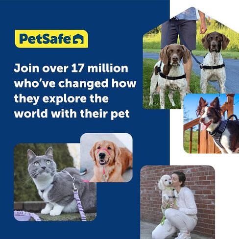 PetSafe Easy Walk No-Pull Dog Harness - The Ultimate Harness to Help Stop Pulling - Take Control & Teach Better Leash Manners - Helps Prevent Pets Pulling on Walks, Small, Raspberry/Gray in Kuwait