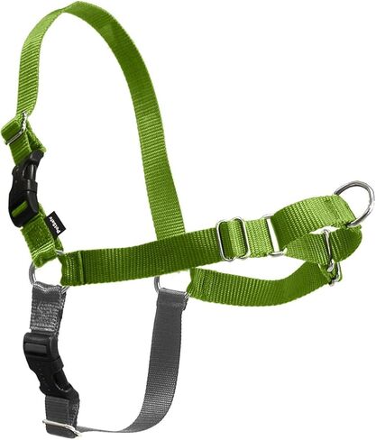 PetSafe Easy Walk No-Pull Dog Harness - The Ultimate Harness to Help Stop Pulling - Take Control & Teach Better Leash Manners - Helps Prevent Pets Pulling on Walks, Small, Raspberry/Gray in Kuwait