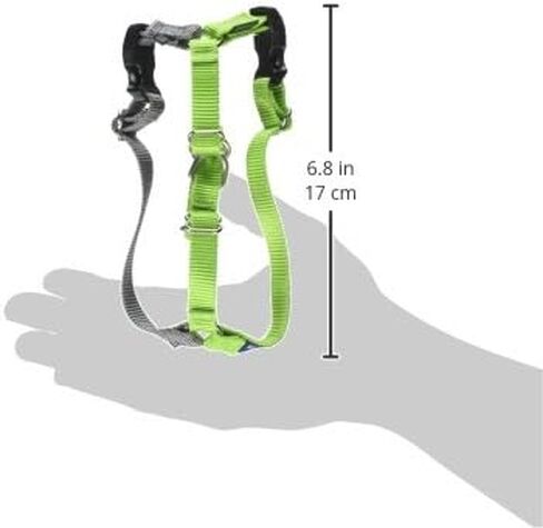 PetSafe Easy Walk No-Pull Dog Harness - The Ultimate Harness to Help Stop Pulling - Take Control & Teach Better Leash Manners - Helps Prevent Pets Pulling on Walks, Small, Raspberry/Gray in Kuwait
