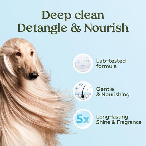 Pawfume Dog Shampoo and Conditioner – Hypoallergenic Dog Shampoo for Smelly Dogs – Best Dog Shampoos & Conditioners – Probiotic Pet Shampoo for Dogs – Best Dog Shampoo for Puppies (Royal Lavender) in Saudi Arabia