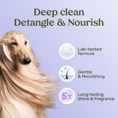 Pawfume Dog Shampoo and Conditioner – Hypoallergenic Dog Shampoo for Smelly Dogs – Best Dog Shampoos & Conditioners – Probiotic Pet Shampoo for Dogs – Best Dog Shampoo for Puppies (Royal Lavender) in Saudi Arabia