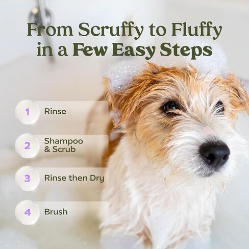 PAWFUME Skin & Coat Detangler Spray for Dogs, 1-Pack – Soothe Dry, Itchy Coats Quickly – Non-Toxic Chamomile & Oat Formula, Essential Fatty Acids & Vet-Certified – Dog Detangler Spray Dematting Care in Saudi Arabia