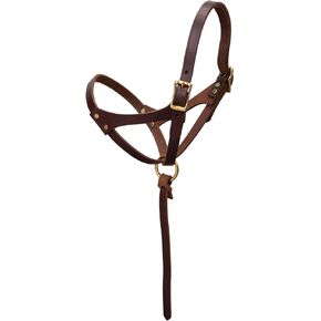 Weaver Leather Figure 8 Foal Halter, 5/8" Suckling, Oiled Canyon Rose