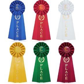 Award Ribbon Victory Rosette Set 1st 2nd 3rd 4th 5th 6th Place Multicolored Award Contest Winner Ribbon for Competition Sports Event School Contests, 6 Pack(6 Pcs)