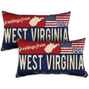 Doraloko Throw Pillow Cover 12x20 Set of 2, Iowa Decor Gift Souvenir, American Flag License Plate Lumbar Pillowcase, Greetings from The Hawkeye State(IA, USA) - Cushion Case Sham, No Inserts