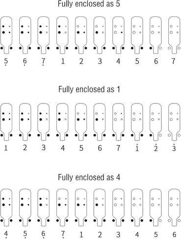 ZSDM Musical Instrument Wooden 6-hole Mini Ocarina free Pendants Light Fall resistance Easy to Carry and Learn Great Gift for Festivals Beginner Self-study Performance in bB Tone with shell in Saudi Arabia