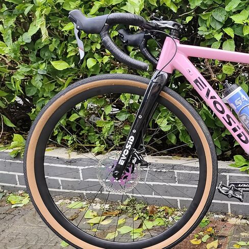 EVOSID شوكة الحصى كاملة من ألياف الكربون شوكة دراجة الطريق 28.6 مم قرص الفرامل شوكة الدراجة 700 * 45C من خلال المحور 12X100 مم V شوكة الفرامل الصلبة (شعار أبيض غير لامع UD) in Kuwait