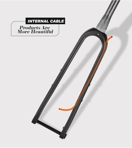 EVOSID شوكة الحصى كاملة من ألياف الكربون شوكة دراجة الطريق 28.6 مم قرص الفرامل شوكة الدراجة 700 * 45C من خلال المحور 12X100 مم V شوكة الفرامل الصلبة (شعار أبيض غير لامع UD) in Kuwait