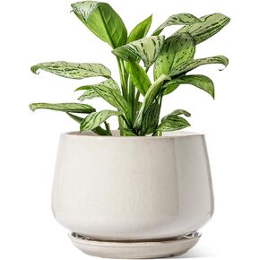LE TAUCI Ceramic Planters, 10 Inch Pots for Plants, Indoor Plant Pots with Drainage Holes and Saucers, Modern Planters Fit Mid Century Plant Stand, Flower Pots for Indoor Plants, Reactive Glaze Beige