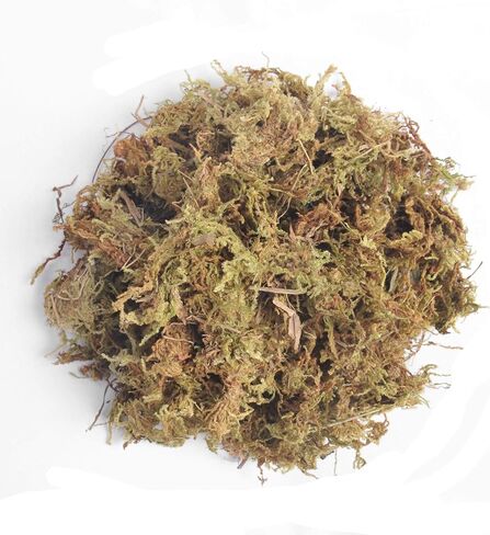Fake Moss for Centerpieces Decor, Aftificial Green Moss for Plant Crafts Flower, 3.5oz in Saudi Arabia