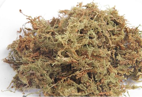 Fake Moss for Centerpieces Decor, Aftificial Green Moss for Plant Crafts Flower, 3.5oz in Saudi Arabia