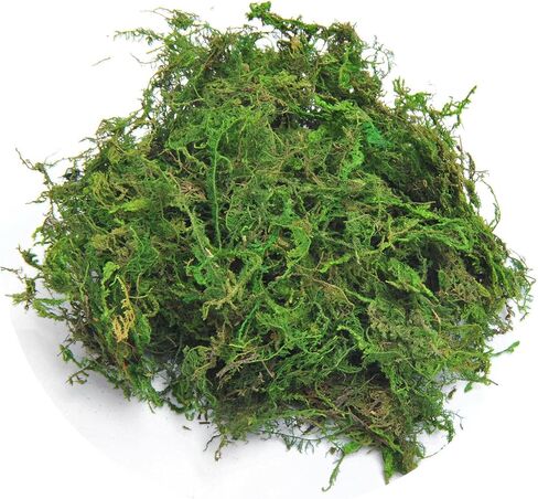 Fake Moss for Centerpieces Decor, Aftificial Green Moss for Plant Crafts Flower, 3.5oz in Saudi Arabia