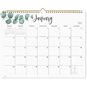 Cabbrix 2025-2026 Wall Calendar, 17 Monthly Calendar Runs from March 2025 to June 2026, Home Schooling Planner for Family and School, Wirebound,15 x 12 Inches
