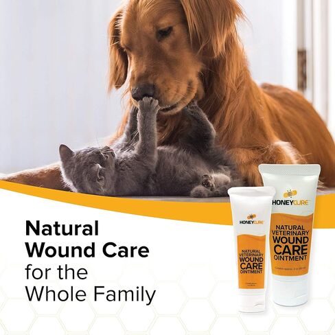 Natural Veterinary Ointment for Wound Care, Manuka Honey, for Dogs, Cats, & Horses, 1oz. Tube in Saudi Arabia