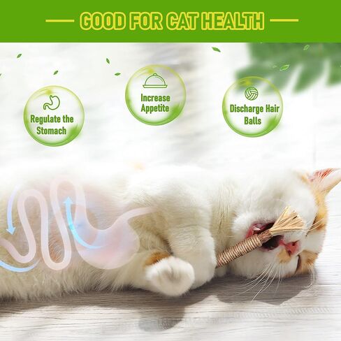 BAWAN Catnip Toys‖ Silvervine for Cats: Cute Cat & Kitten Toys for Indoor Cats Interactive‖ Cat & Kitten Teething Chew Toys for Aggressive Chewers‖ Silvervine Sticks Cat Dental Toy (3PCS) in Saudi Arabia