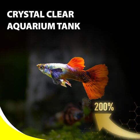 Purify Series for Tetra Fish Food, Small Tropical Sinking Pellets, Suitable for Betta, Guppy Fish, All Natural Ingredients, Balanced Composition of Fish Feed, 2.65 oz (Pack of 1) in Saudi Arabia