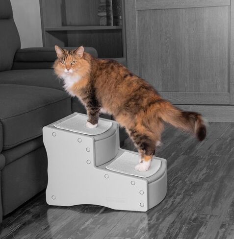 Pet Gear Easy Step II Pet Stairs, 2 Step for Cats/Dogs up to 75-pounds, Portable, Removable Washable Carpet Tread, No Tools Required in Saudi Arabia