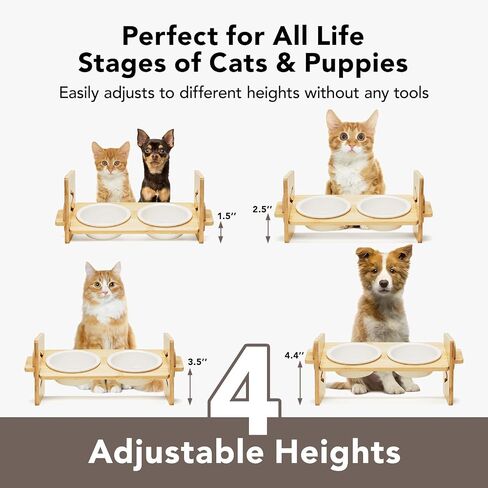 Cat Food Bowl Ceramic Elevated Cat Bowls 15° Raised Cat Bowl for Indoor Cats & Small Dogs Natural Bamboo Whisker Fatigue Cat Bowl, Anti Vomitting Cat Food and Water Bowl Set, Dishwasher Safe in Saudi Arabia