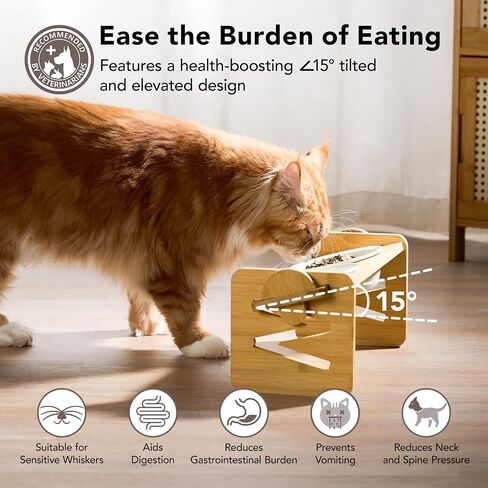 Cat Food Bowl Ceramic Elevated Cat Bowls 15° Raised Cat Bowl for Indoor Cats & Small Dogs Natural Bamboo Whisker Fatigue Cat Bowl, Anti Vomitting Cat Food and Water Bowl Set, Dishwasher Safe in Saudi Arabia