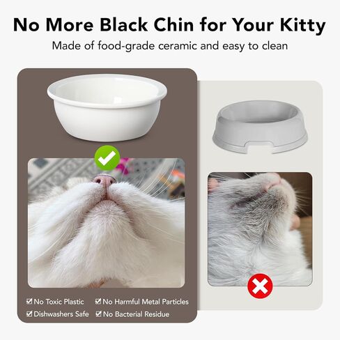 Cat Food Bowl Ceramic Elevated Cat Bowls 15° Raised Cat Bowl for Indoor Cats & Small Dogs Natural Bamboo Whisker Fatigue Cat Bowl, Anti Vomitting Cat Food and Water Bowl Set, Dishwasher Safe in Saudi Arabia