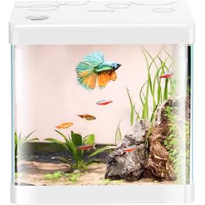 Betta Fish Tank, 2 Gallon Glass Aquarium Starter Kit, Small Fish Tank with Filter and Light.(Black)