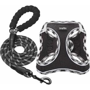 haapaw Dog Harness with Leash Set, No Pull Adjustable Reflective Step-in Puppy Harness with Thickened Padded Vest for Extra-Small/Small Medium Dogs