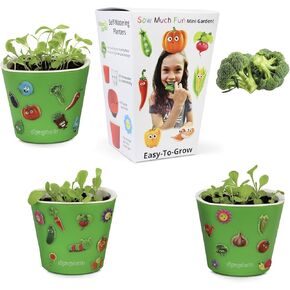 Window Garden Sow Much Fun Seed Starting, Vegetable Planting and Growing Kit for Kids, 3 Self Watering Planters, Soil, Seeds and Puffy Stickers. No Mess, Easy, Works Great! (Cherry Tomato) in Kuwait