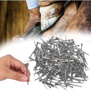 lukar 250pcs E5 Horseshoe Nails 2 Inch Stainless Steel Horse Shoe Nails for Stained Glass, Crafts, Horse Training Equestrian Sports