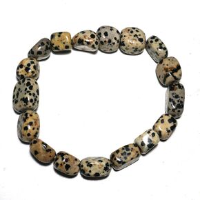 Dalmatian Bracelet | Irregular Shape | Fits for about 7 inch Wrist