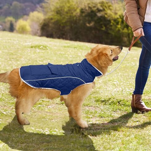 معطف شتوي للكلاب من Malier، معاطف مقاومة للرياح للطقس البارد مع جيب حقيقي، معطف شتوي دافئ إضافي للكلاب، سترة صوفية عاكسة، ملابس للكلاب الصغيرة والمتوسطة والكبيرة والجرو (أحمر، متوسط) in Kuwait