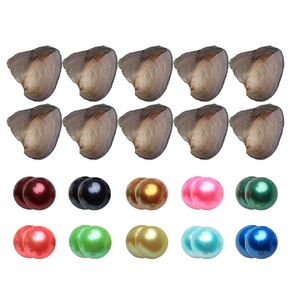 JNMM Freshwater Oysters with Twin Pearls Inside - Cultured Round Pearl Oysters, 10 Shining Meaningful Colors, 20 Pearls Total (6-8mm, 10 PCs/lot)