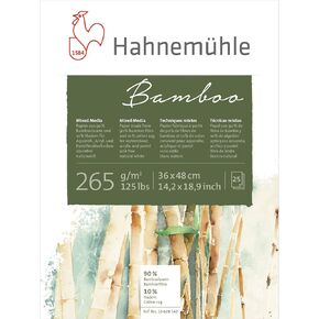 Hahnemuhle Bamboo Mixed Media Pad 14X19 Inche