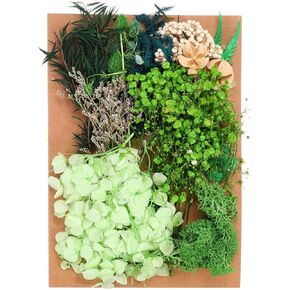 PATIKIL Pressed Flowers for Craft, Bulk Dried Flowers Natural Pressed Flowers Leaves for Resin Soap Candle Scrapbooking DIY Gift Papermaking, Green Series
