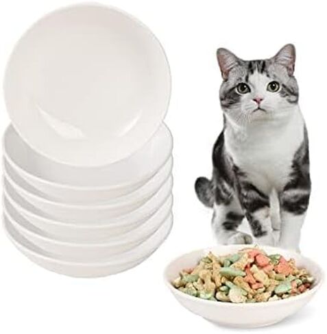 5.5 inch Wide Shallow Cat Food Bowl Set for Relief Whisker Fatigue -Ceramic - 6 Colorful Cute Small Flat Kitten Feeding Dish/ Dishes - Microwave and Dishwasher Safe - 8 oz in Saudi Arabia