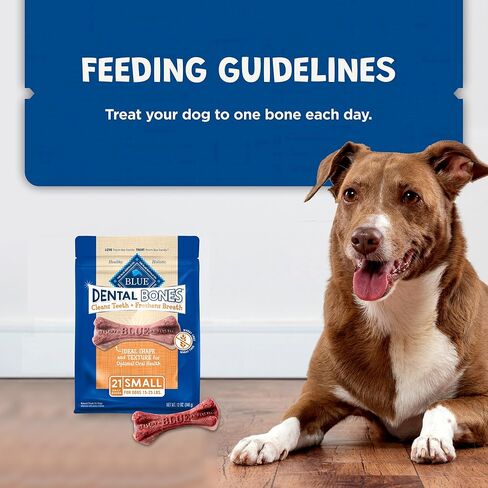 Blue Buffalo Dental Bones Small Natural Dental Chew Dog Treats Bag Value Pack in Kuwait